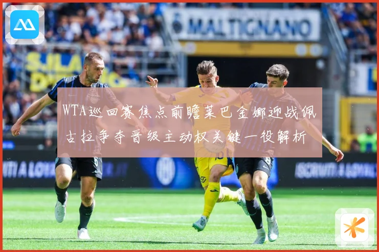WTA巡回赛焦点前瞻莱巴金娜迎战佩古拉争夺晋级主动权关键一役解析-深度解析
