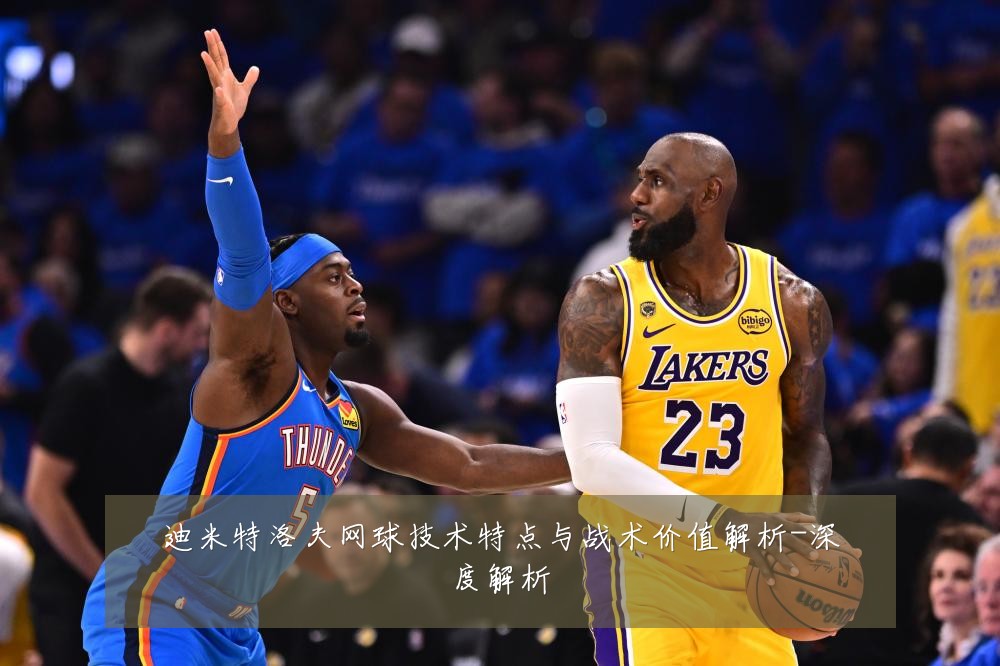 迪米特洛夫网球技术特点与战术价值解析-深度解析
