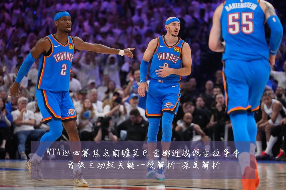 WTA巡回赛焦点前瞻莱巴金娜迎战佩古拉争夺晋级主动权关键一役解析-深度解析